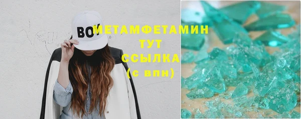 прущие грибы Коряжма