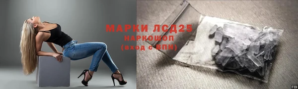 индика Россошь