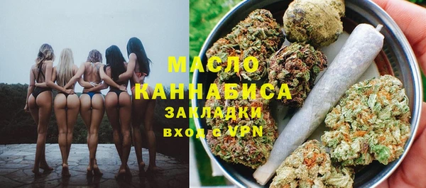 индика Россошь