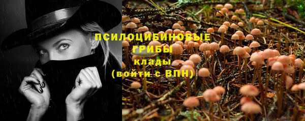 спиды Абдулино