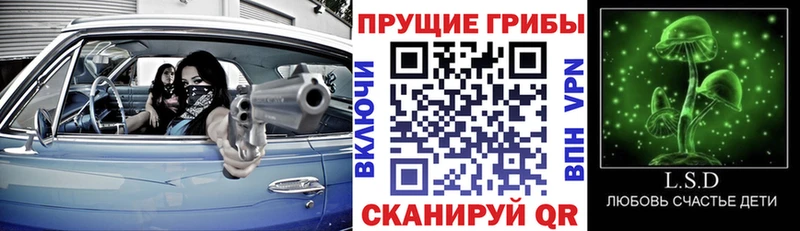 Галлюциногенные грибы прущие грибы  Зея 